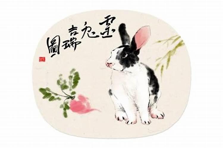 95年和99年八字合吗,男的是95年的属猪的,女的是99年的属兔的相配