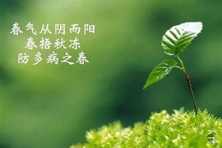 1975属兔女在2025年的每月运势