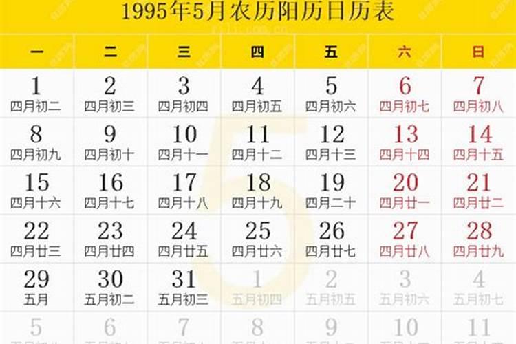 阴历1995年8月初5午时男