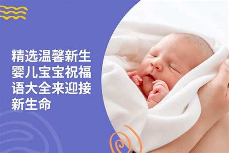 夏至出生的蛇宝宝