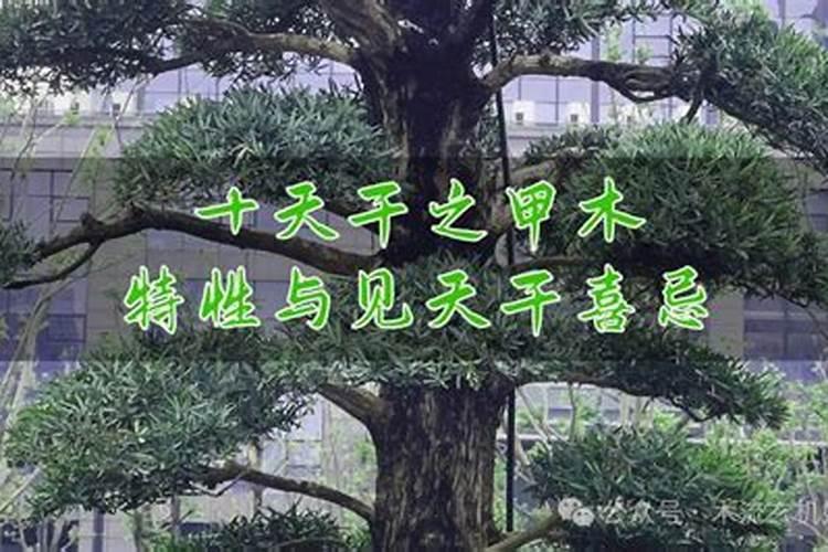 大运到底是从什么时候开始的？