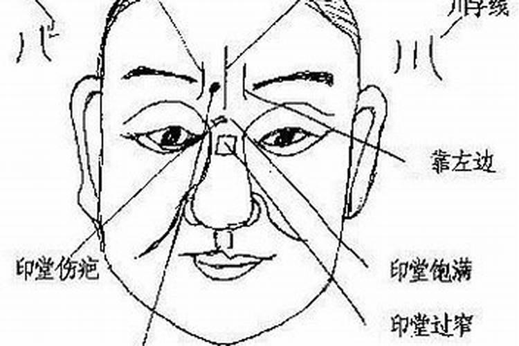 研究八字(日元强弱,取用神,有无官运、财运)