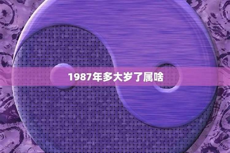 2025年兔运势运程1987年的兔