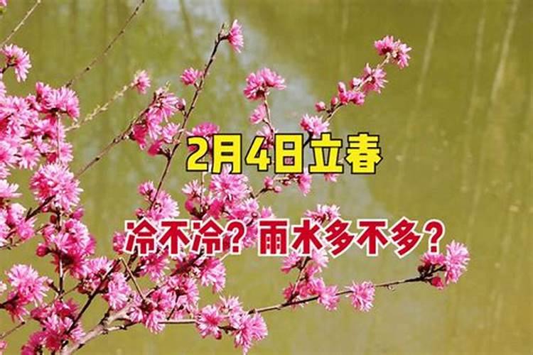 属兔人出生日的命运属兔人哪天出生最好