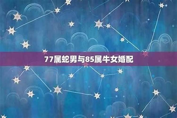 属蛇女和什么属相最配