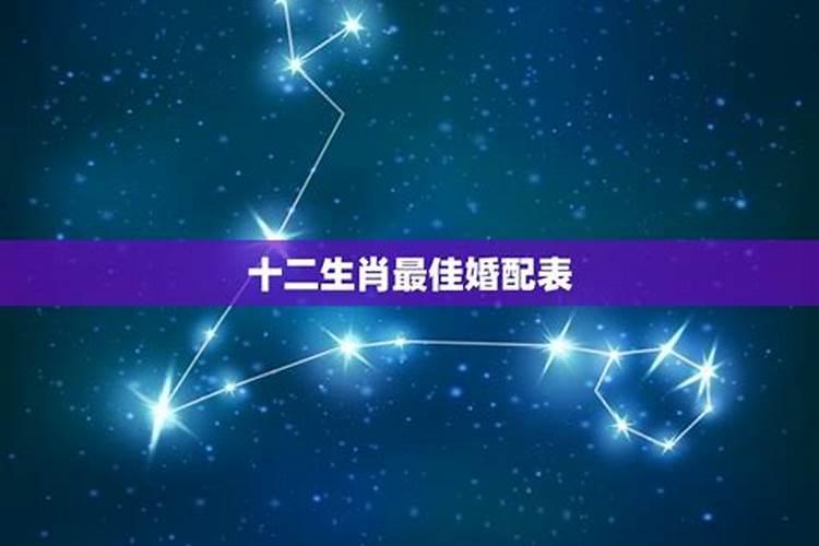 属蛇女最佳婚配属相