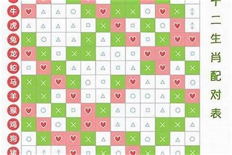 找对象属相可信吗 属相真的能决定婚姻吗？