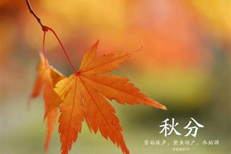 2025年秋分是几月几日