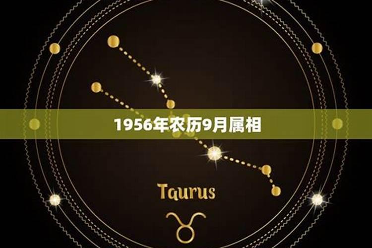 农历9月出生属龙人命好吗