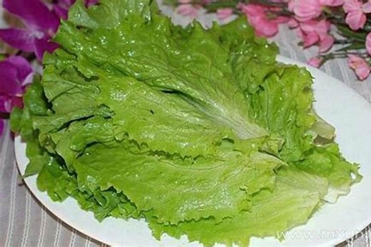 梦见生菜预示着什么