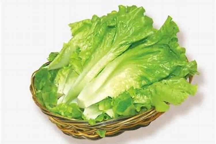 梦见生菜的预兆