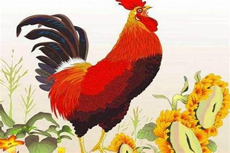 1981年属鸡的运势
