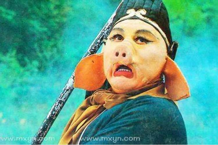 梦见猪八戒的预兆