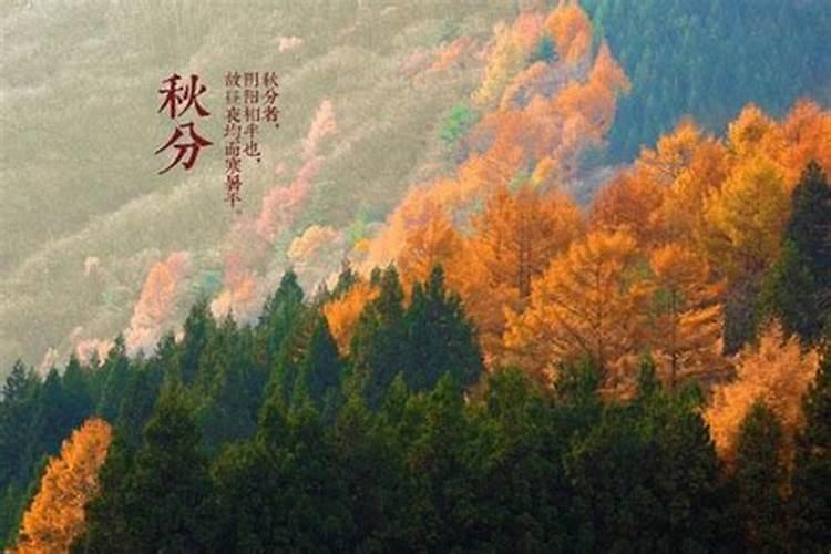 秋分手抄报的内容