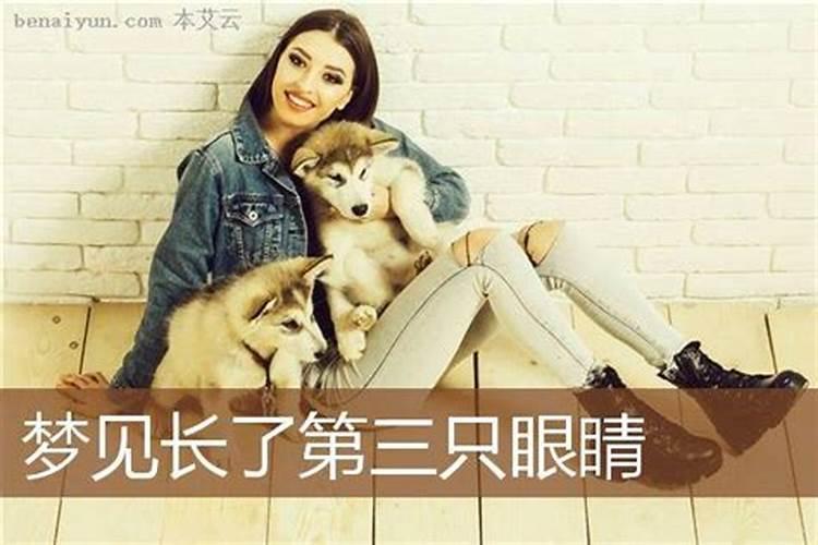 梦见兄弟姐妹什么意思？