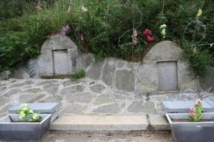 梦见坟地上拿祭品吃