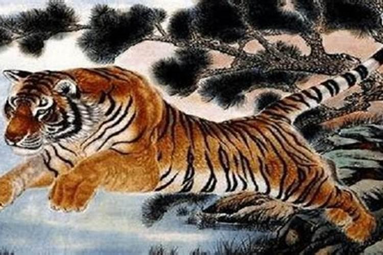属虎的人和属鸡的人可以结婚吗