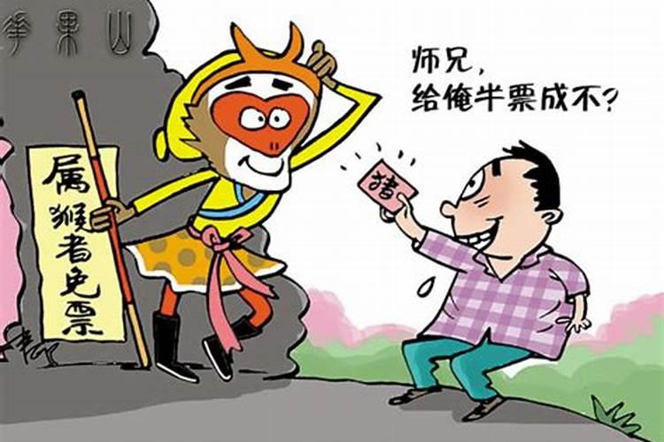生肖猴:属猴人的生年运程