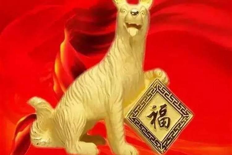 属狗的人今年运气如何