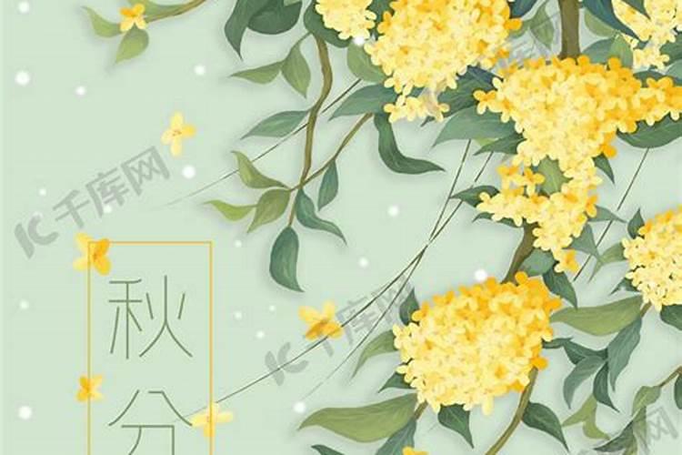 秋分有什么美好寓意 秋分有什么花会开