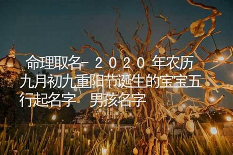 重阳节出生龙宝宝乳名