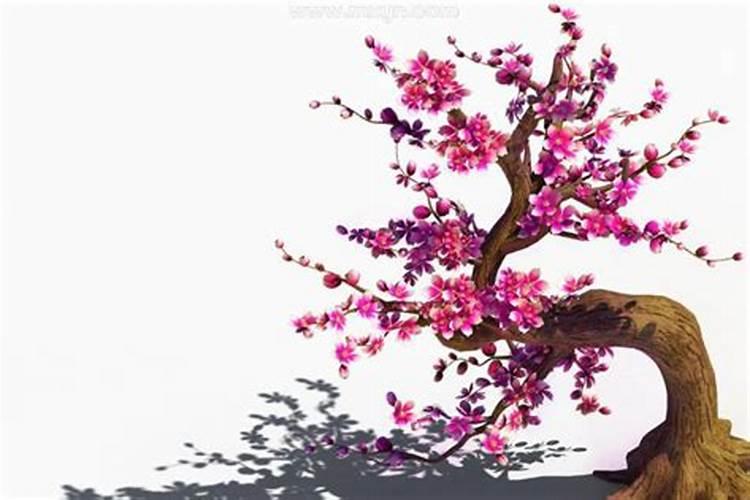 梦见满山桃花盛开是什么意思