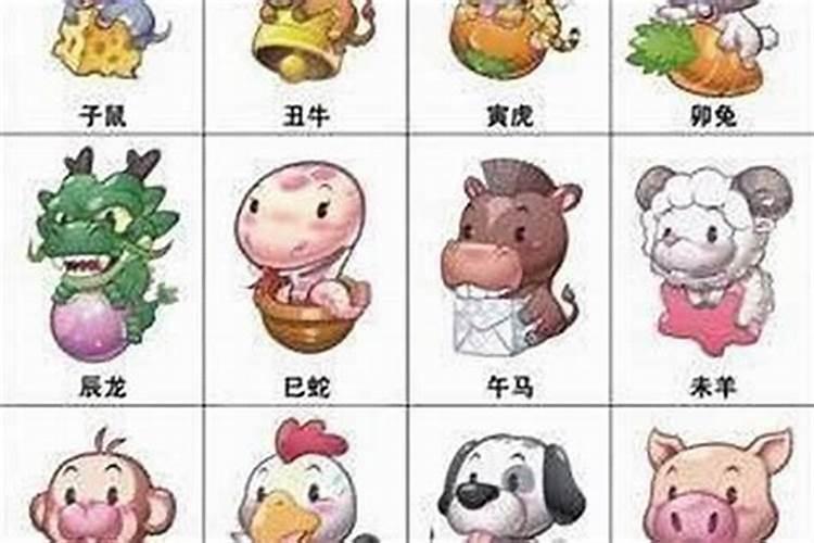 属龙的属相婚配表,双龙相配会吵架？