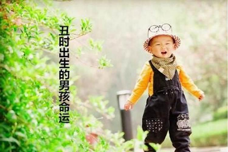 丑时出生的人命运解析