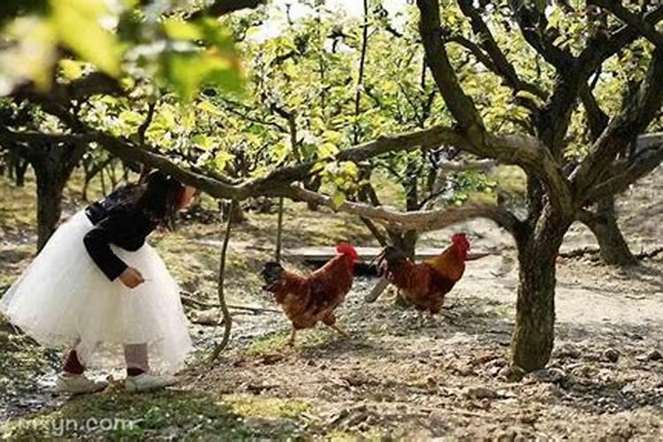 梦到妹妹结婚好不好 梦到妹妹结婚有什么预兆