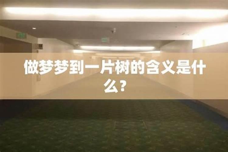 梦见大海晚霞好美上空出现佛