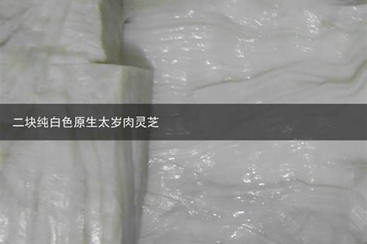 属羊朋友2015年带星月菩提可以吗