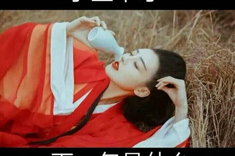 女 阳历1987年11月4日晚上九点15分 能帮我算算么？