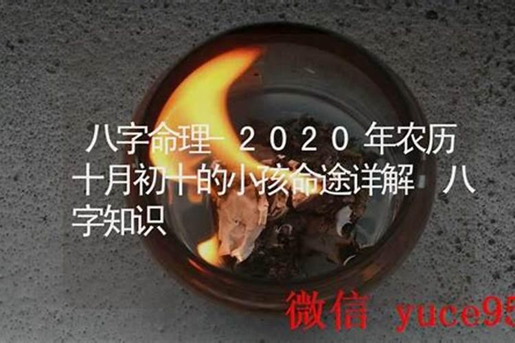 阴历生日1995年10月1日是什么星座