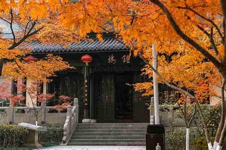 92年属猴和95年属猪配么 属猪和属猴的结合好不好
