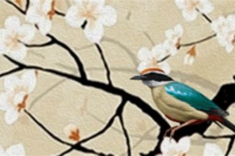为什么农历十月初一不能过生日？