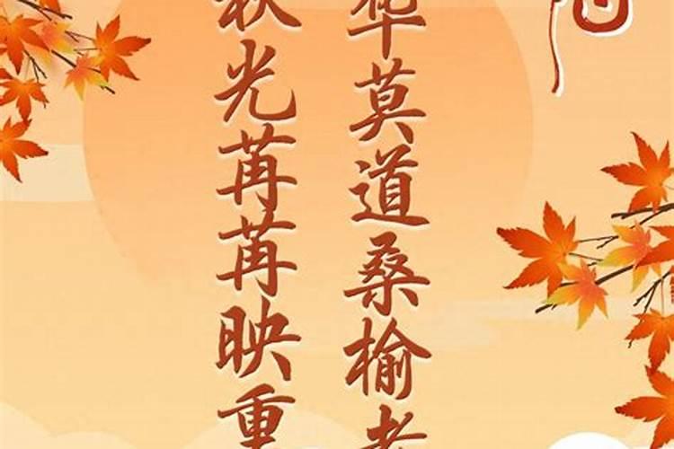 人生易老天难老岁岁重阳今又重阳战地什么分外香