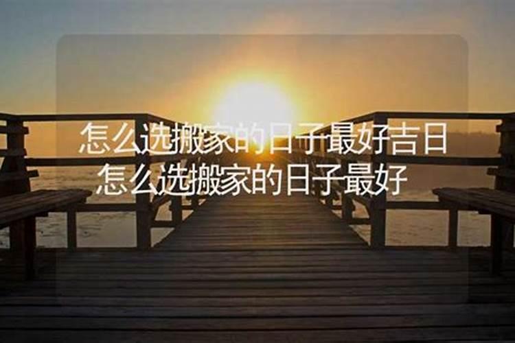 周公解梦梦见打蛇