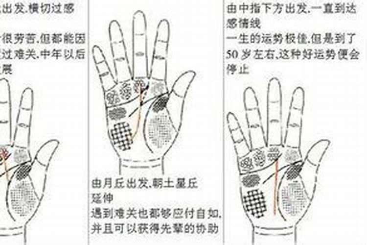 塔罗牌通常每日运程用什么牌阵会比较合适