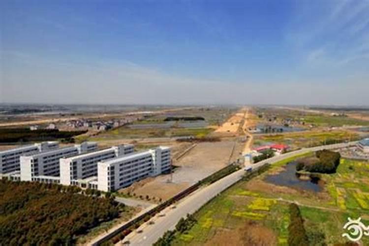 2024属蛇今年的运气和财运怎么样 属蛇人2024运势简析