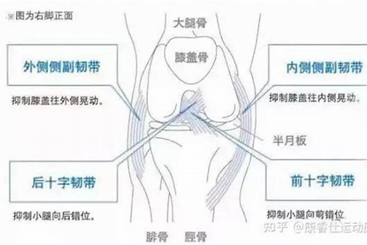 梦见膝盖什么意思？
