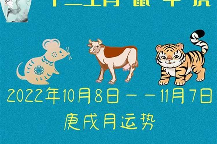 台州有什么适合过年期间去打卡的特色景区？