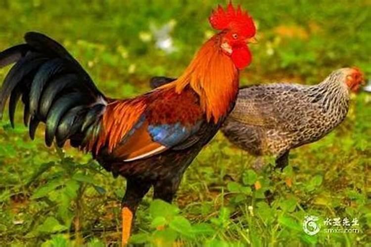 犯太岁如何化解的方法大全