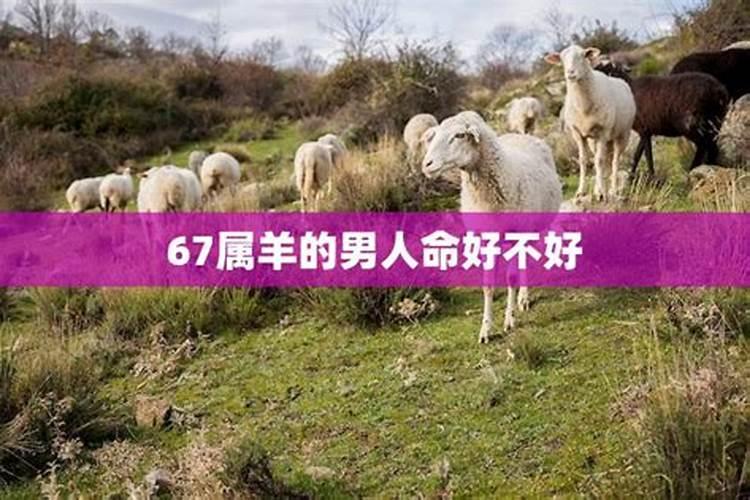 八月十五出生的男孩命硬吗