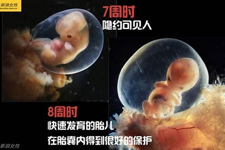 婴灵,不知道大家相信吗