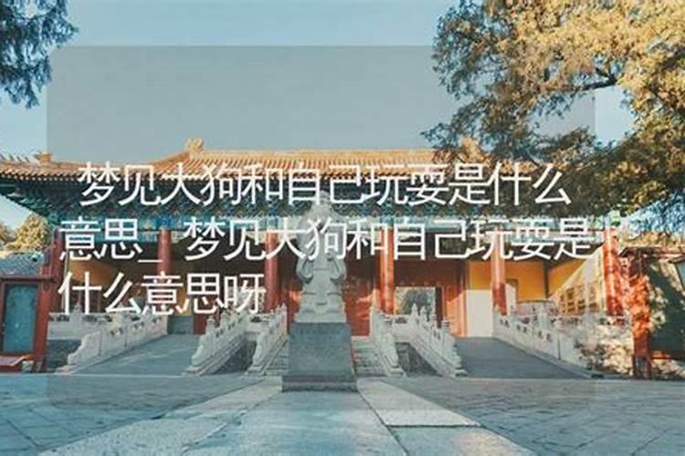 梦见大狗跟自己玩耍的预兆