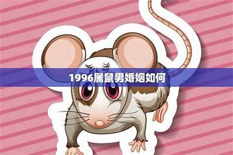 1996年属鼠女正缘几时出现属鼠女的最佳婚配