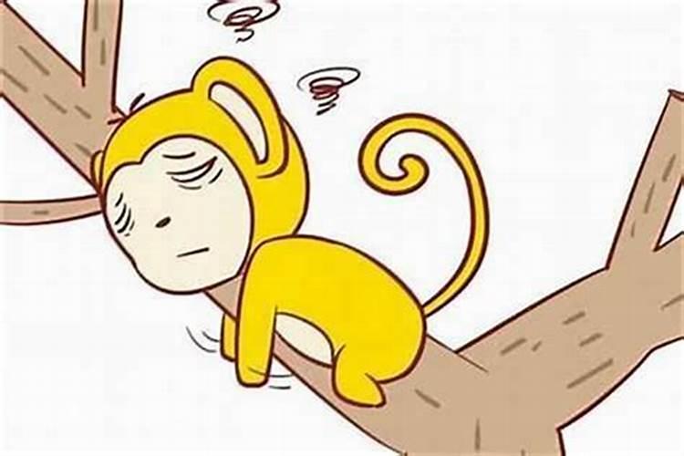 属猴的人品怎么样
