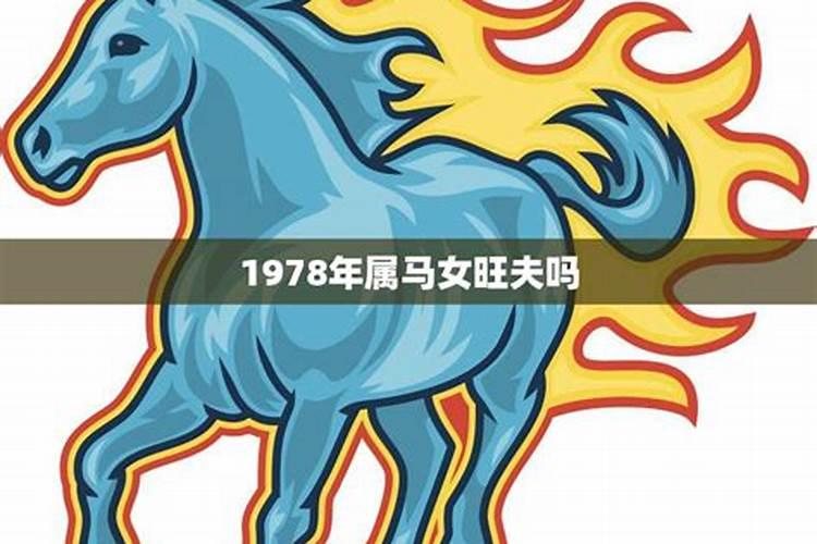 属马1978年46岁走大运 76年属马人46岁运势