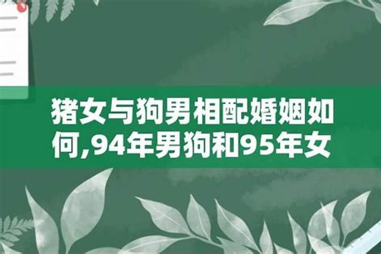 1994年狗与1995年猪合婚吗