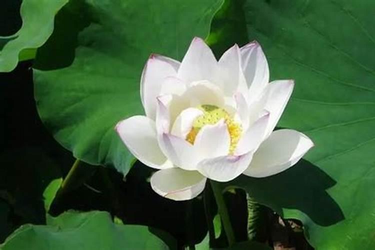两个人婚前算八字不合怎么办 怎么化解？